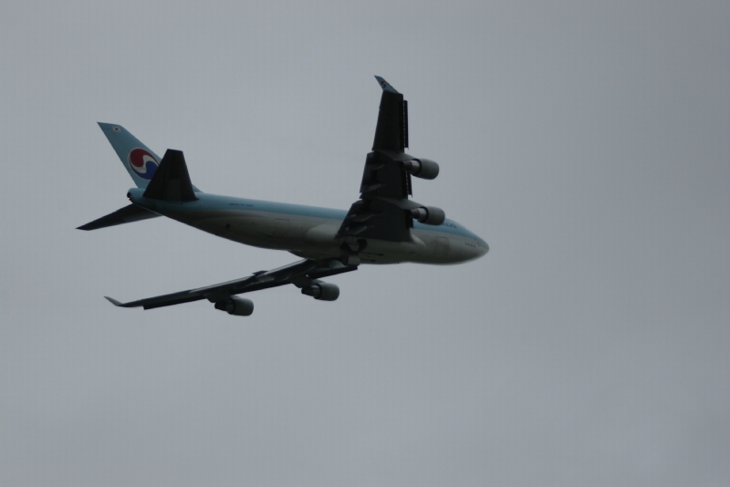 IMGP4804.JPG