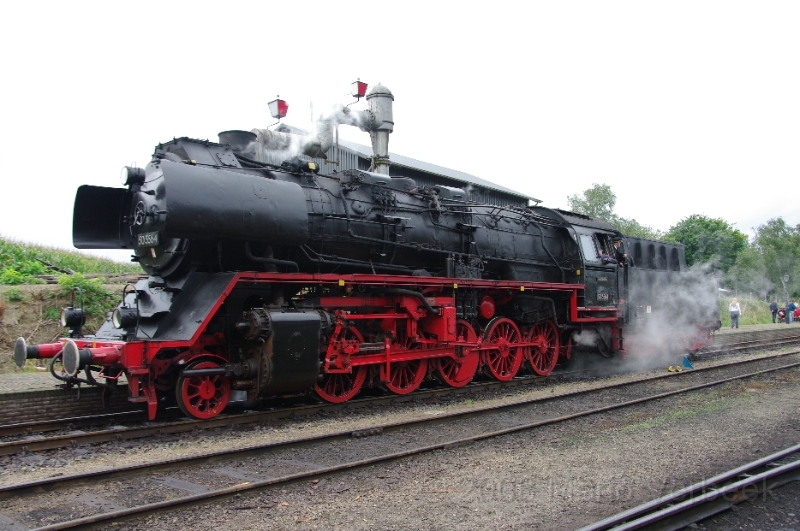 MJV_0687.JPG