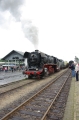 MJV_0695