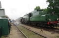 MJV_0743