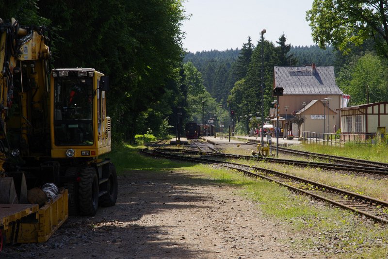 MJV_6479.JPG