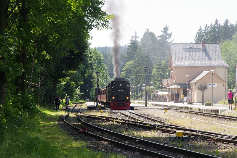 MJV_6484.JPG