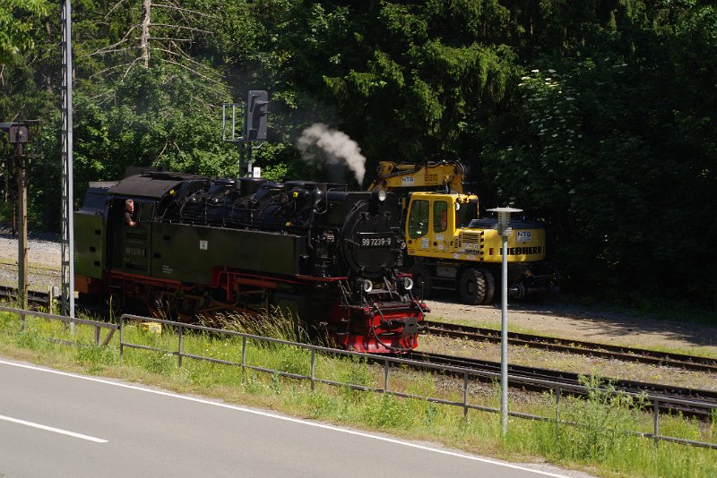 MJV_6500.JPG