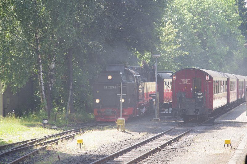 MJV_6575.JPG