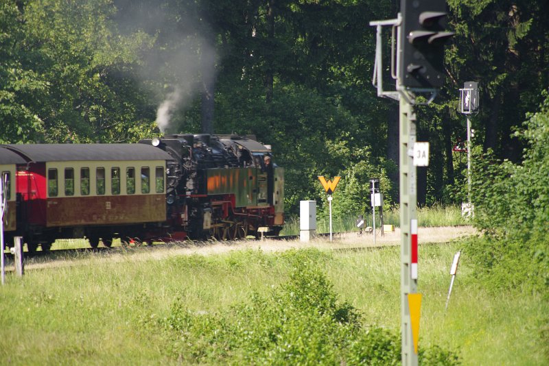 MJV_6697.JPG