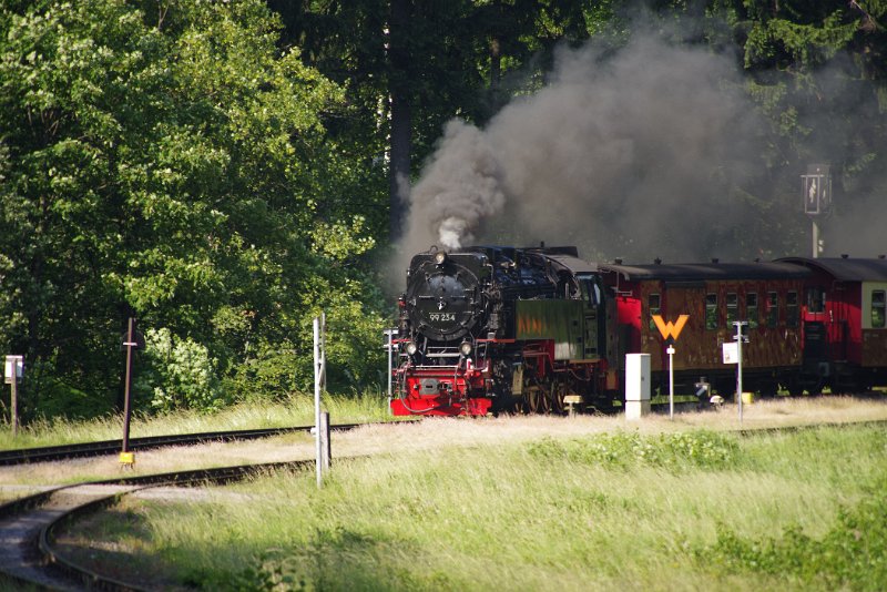 MJV_6700.JPG